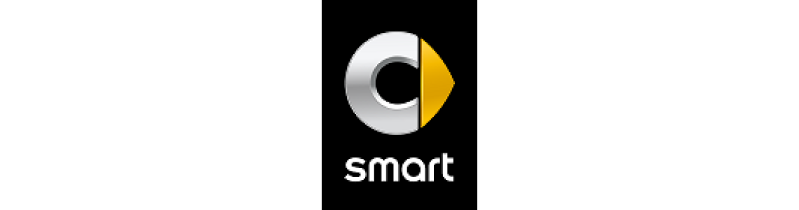 Smart